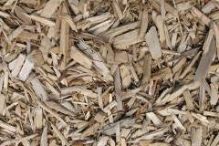 biomass boilers Forcett