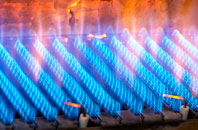 Forcett gas fired boilers